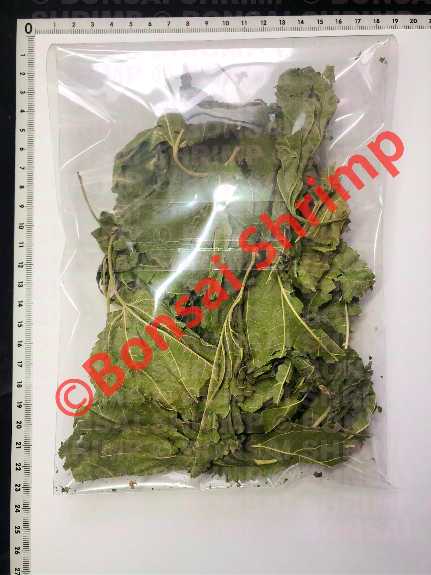 Shrimp Food - Dried Mulberry Leaves