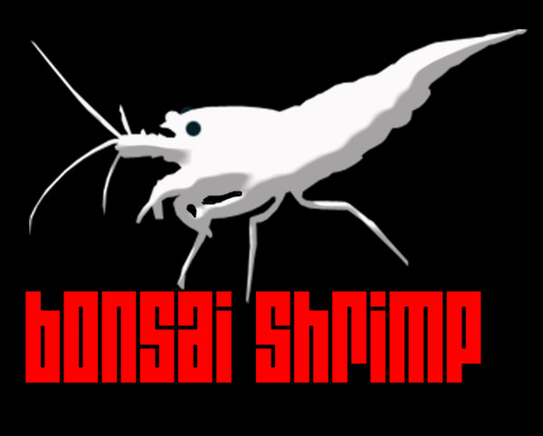 Bonsai Shrimp