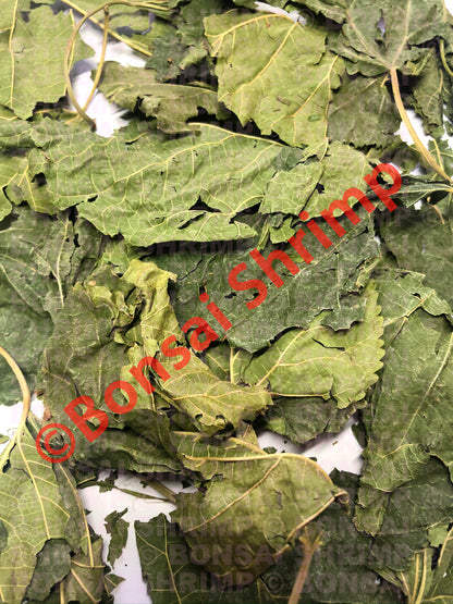 Shrimp Food - Dried Mulberry Leaves